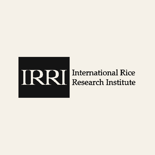 Logo of International Rice Research Institute