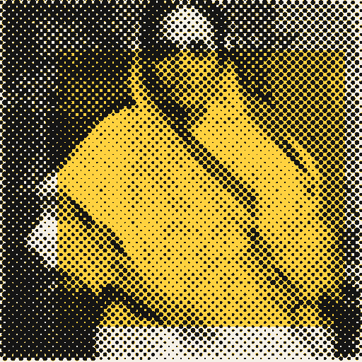 Printed photo of Kasturba Gandhi