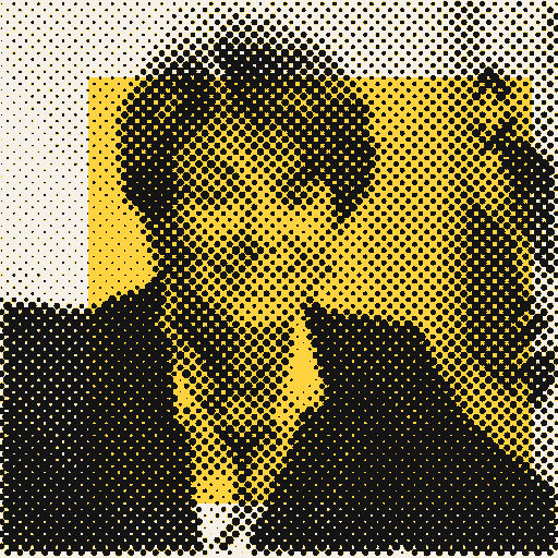 Printed photo of Anna Eshoo