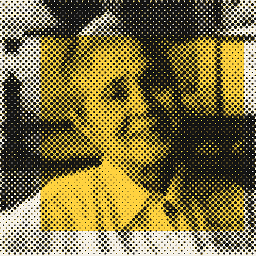 Printed photo of Indu Jain